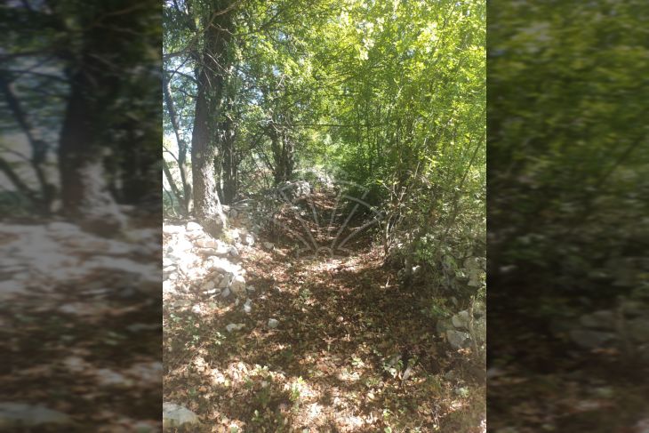 Poljoprivredno zemljište, Prodaja, Vodnjan, Vodnjan Poljoprivredno zemljište, Prodaja, Vodnjan, Vodnjan