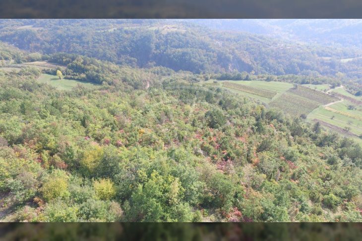 Poljoprivredno zemljište, Prodaja, Cerovlje, Draguć Poljoprivredno zemljište, Prodaja, Cerovlje, Draguć