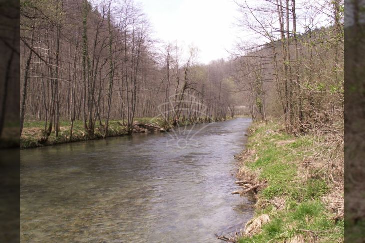 Poljoprivredno zemljište, Prodaja, Vrbovsko, Vrbovsko