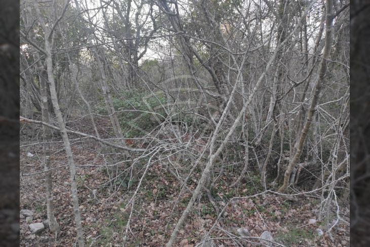 Zemljište - ostalo, Prodaja, Marčana, Peruški Zemljište - ostalo, Prodaja, Marčana, Peruški