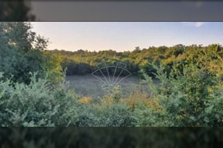 Poljoprivredno zemljište, Prodaja, Svetvinčenat, Štokovci Poljoprivredno zemljište, Prodaja, Svetvinčenat, Štokovci