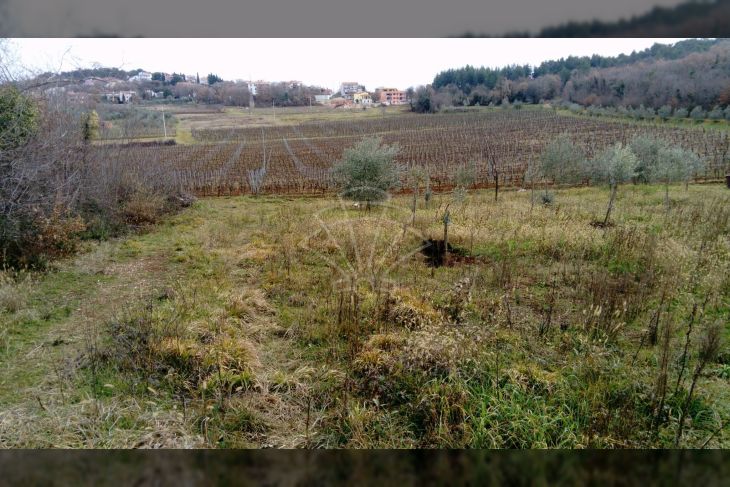 Poljoprivredno zemljište, Prodaja, Poreč, Poreč