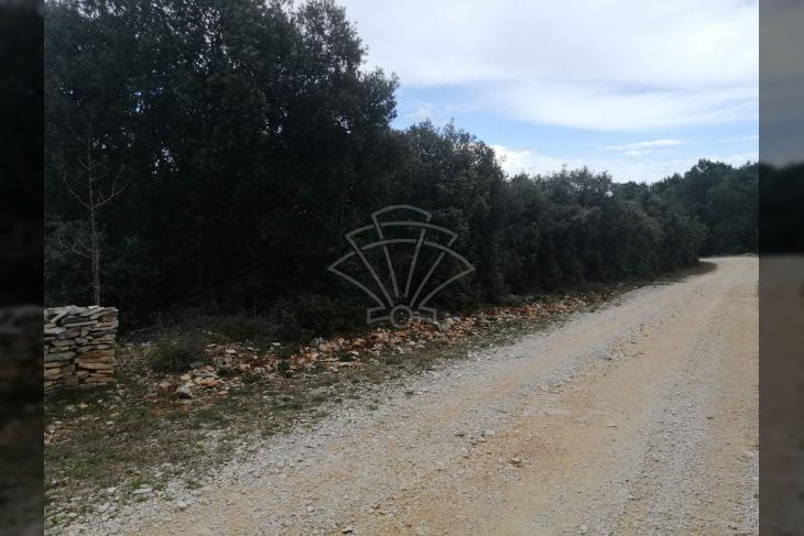 Poljoprivredno zemljište, Prodaja, Marčana, Marčana