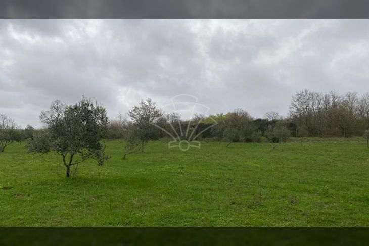 Poljoprivredno zemljište, Prodaja, Kanfanar, Jural