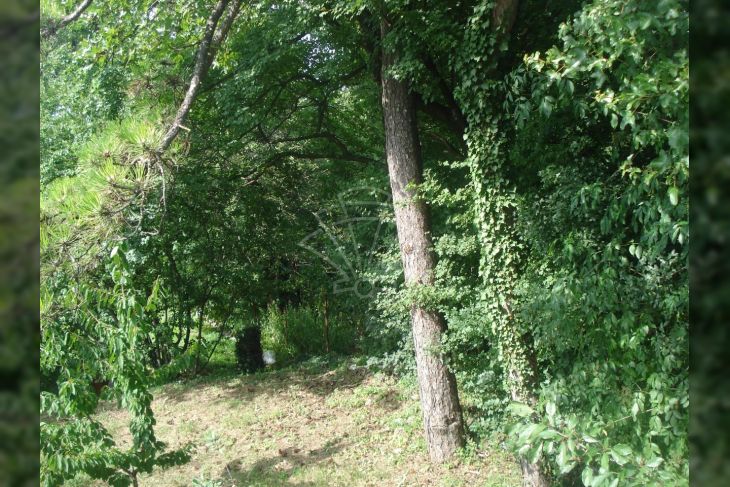 Građevinsko, Prodaja, Čavle, Čavle Građevinsko, Prodaja, Čavle, Čavle