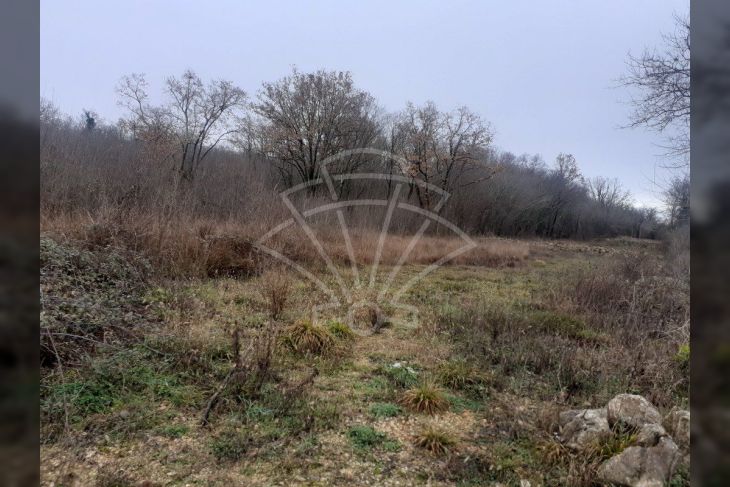 Poljoprivredno zemljište, Prodaja, Malinska-dubašnica, Malinska Poljoprivredno zemljište, Prodaja, Malinska-dubašnica, Malinska