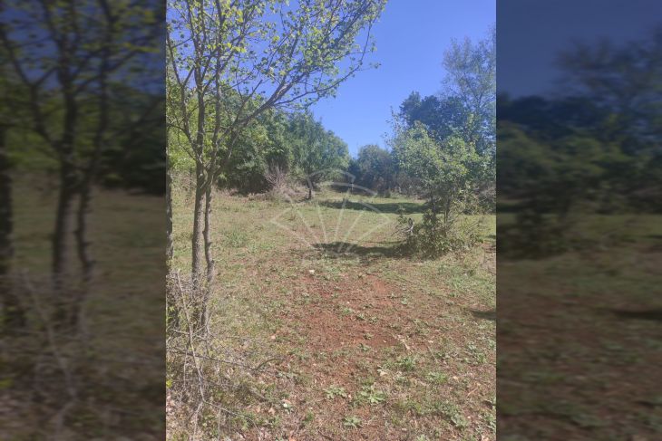 Poljoprivredno zemljište, Prodaja, Vodnjan, Vodnjan Poljoprivredno zemljište, Prodaja, Vodnjan, Vodnjan