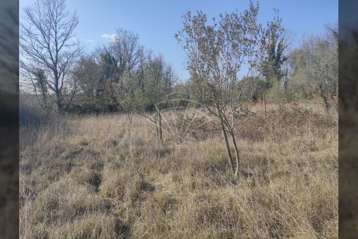 Otok, Prodaja, Marčana, Krnica Otok, Prodaja, Marčana, Krnica