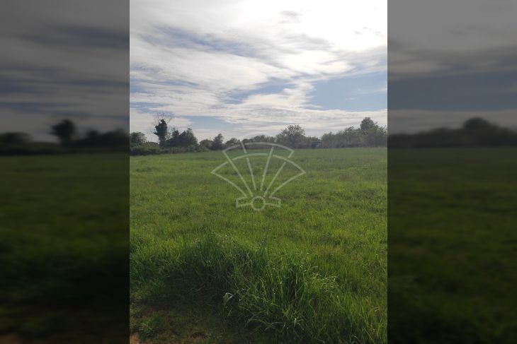 Agricultural plot, Sale, Ližnjan, Šišan