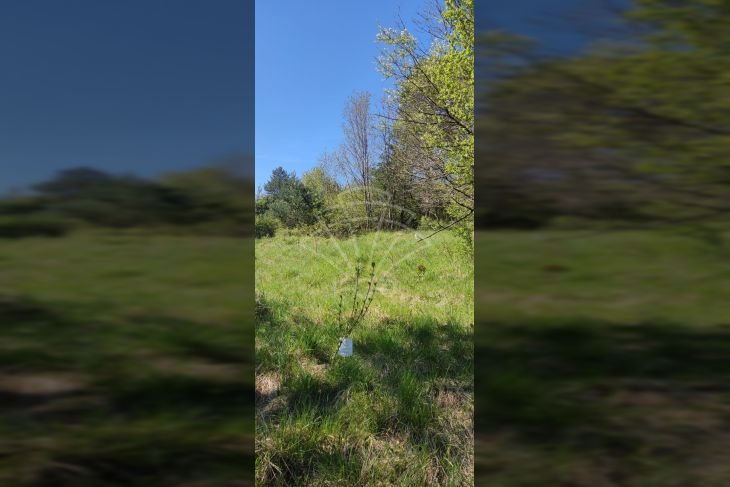 Landwirtschaftlich genutzter Boden, Verkauf, Matulji, Pasjak