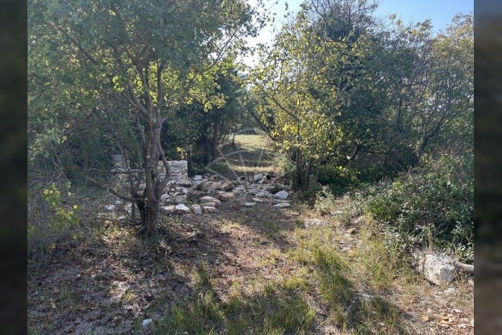 Šuma, Prodaja, Vodnjan, Vodnjan Šuma, Prodaja, Vodnjan, Vodnjan