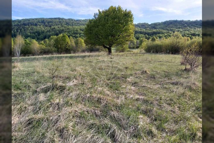 Građevinsko mješovito, Prodaja, Delnice, Zalesina