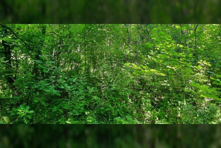 Građevinsko zemljište, Prodaja, Kostrena, Vrh Martinšćice Građevinsko zemljište, Prodaja, Kostrena, Vrh Martinšćice