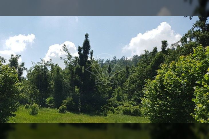 Građevinsko zemljište, Prodaja, Fužine, Lič