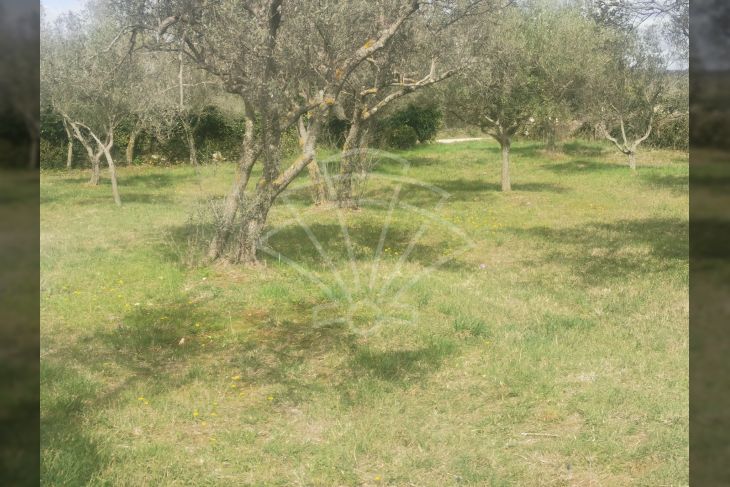 Poljoprivredno zemljište, Prodaja, Fažana, Fažana Poljoprivredno zemljište, Prodaja, Fažana, Fažana