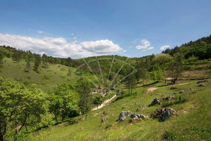 Građevinsko zemljište, Prodaja, Pazin - Okolica, Trviž Građevinsko zemljište, Prodaja, Pazin - Okolica, Trviž