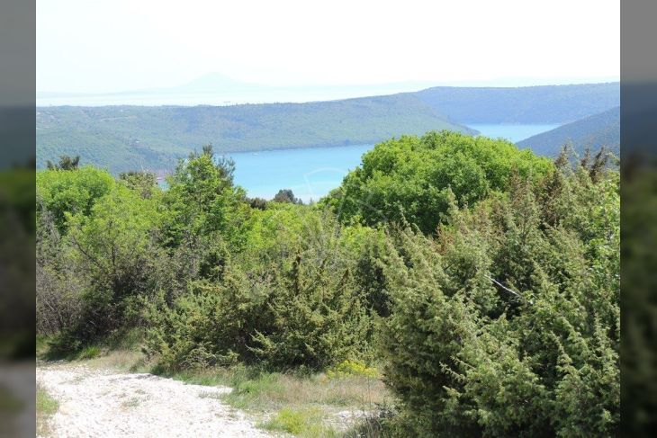 Građevinsko zemljište, Prodaja, Barban, Puntera