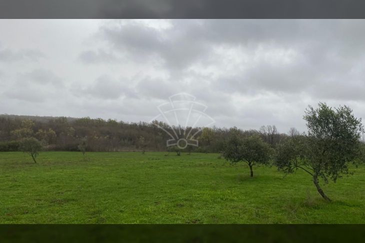 Poljoprivredno zemljište, Prodaja, Kanfanar, Jural