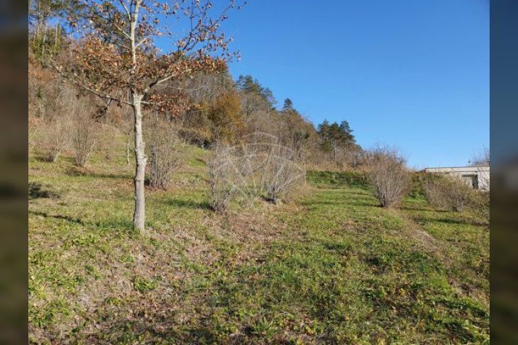 Građevinsko mješovito, Prodaja, Oprtalj, Livade