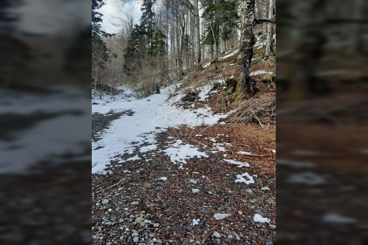 Poljoprivredno zemljište, Prodaja, Čabar, Gerovo Poljoprivredno zemljište, Prodaja, Čabar, Gerovo