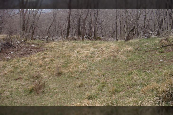 Poljoprivredno zemljište, Prodaja, Jelenje, Podhum