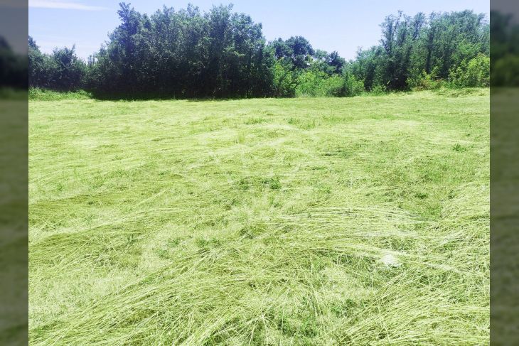Građevinsko zemljište, Prodaja, Marčana, Loborika Građevinsko zemljište, Prodaja, Marčana, Loborika
