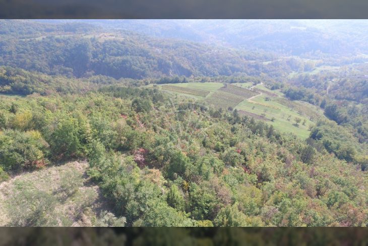 Poljoprivredno zemljište, Prodaja, Cerovlje, Draguć Poljoprivredno zemljište, Prodaja, Cerovlje, Draguć