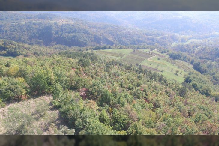 Poljoprivredno zemljište, Prodaja, Cerovlje, Draguć