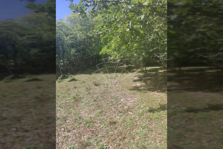 Poljoprivredno zemljište, Prodaja, Vodnjan, Vodnjan Poljoprivredno zemljište, Prodaja, Vodnjan, Vodnjan