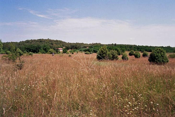 Građevinsko, Prodaja, Kanfanar, Šorići