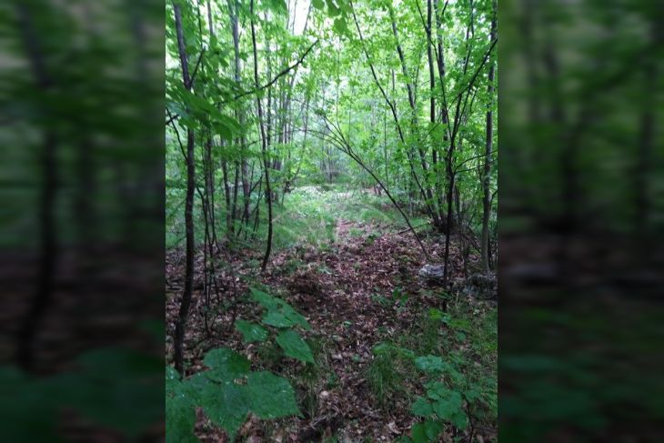 Poljoprivredno zemljište, Prodaja, Matulji, Rukavac