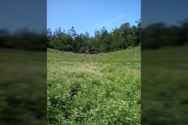 Građevinsko zemljište, Prodaja, Bakar, Zlobin