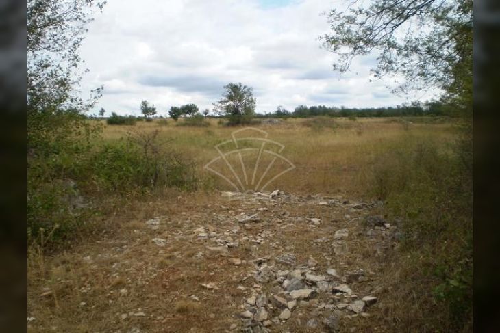 Poljoprivredno zemljište, Prodaja, Svetvinčenat, Raponji