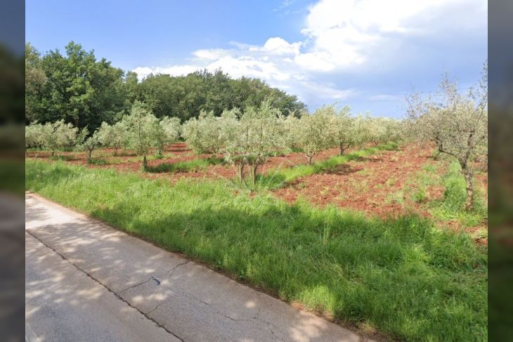 Poljoprivredno zemljište, Prodaja, Novigrad, Novigrad Poljoprivredno zemljište, Prodaja, Novigrad, Novigrad