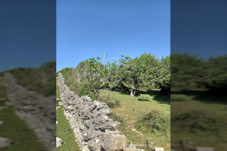 Poljoprivredno zemljište, Prodaja, Cres, Cres Poljoprivredno zemljište, Prodaja, Cres, Cres