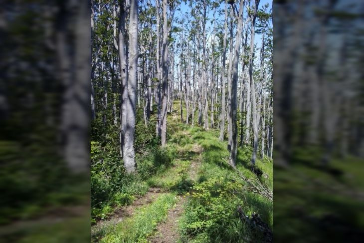 Građevinsko zemljište, Prodaja, Bakar, Zlobin