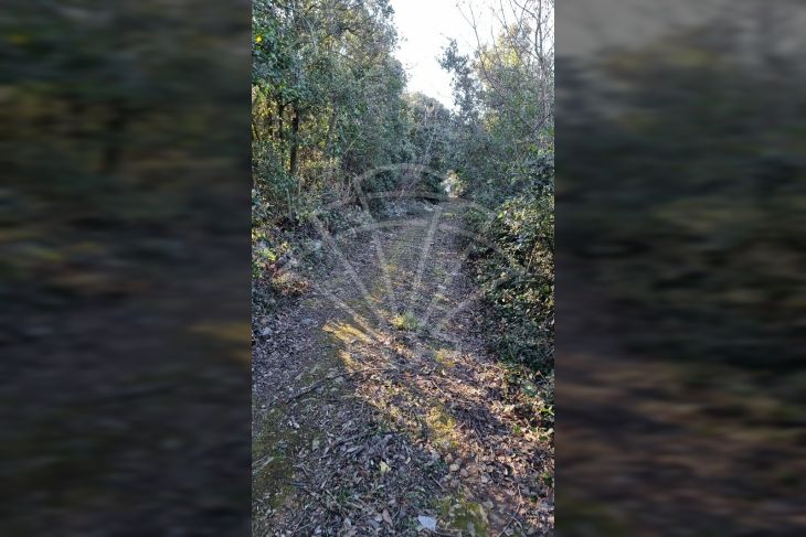 Poljoprivredno zemljište, Prodaja, Marčana, Kavran Poljoprivredno zemljište, Prodaja, Marčana, Kavran
