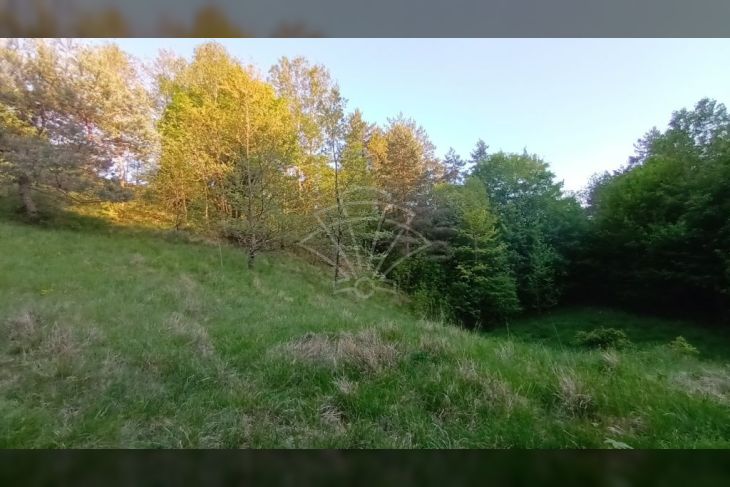 Poljoprivredno zemljište, Prodaja, Matulji, Šapjane Poljoprivredno zemljište, Prodaja, Matulji, Šapjane