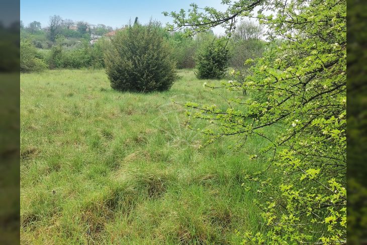 Građevinsko zemljište, Prodaja, Marčana, Loborika