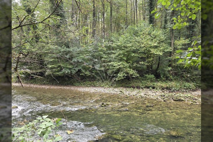 Poljoprivredno zemljište, Prodaja, Vrbovsko, Vrbovsko