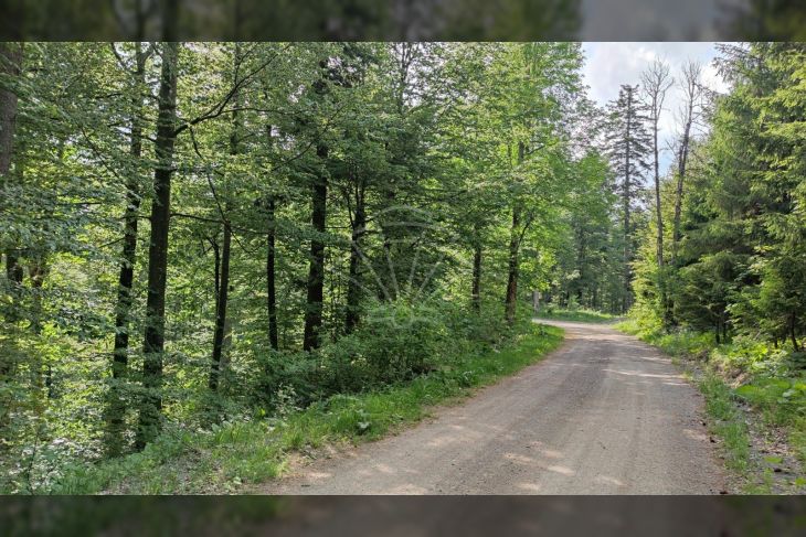 Poljoprivredno zemljište, Prodaja, Fužine, Fužine Poljoprivredno zemljište, Prodaja, Fužine, Fužine