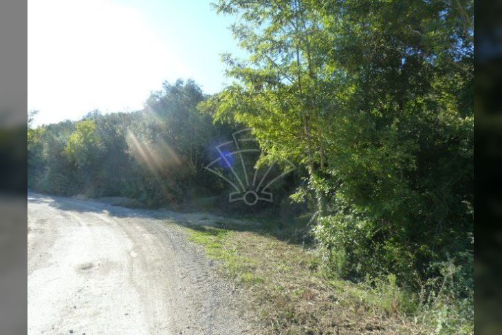 Poljoprivredno zemljište, Prodaja, Ližnjan, Valtura