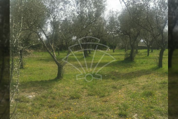 Poljoprivredno zemljište, Prodaja, Fažana, Fažana Poljoprivredno zemljište, Prodaja, Fažana, Fažana