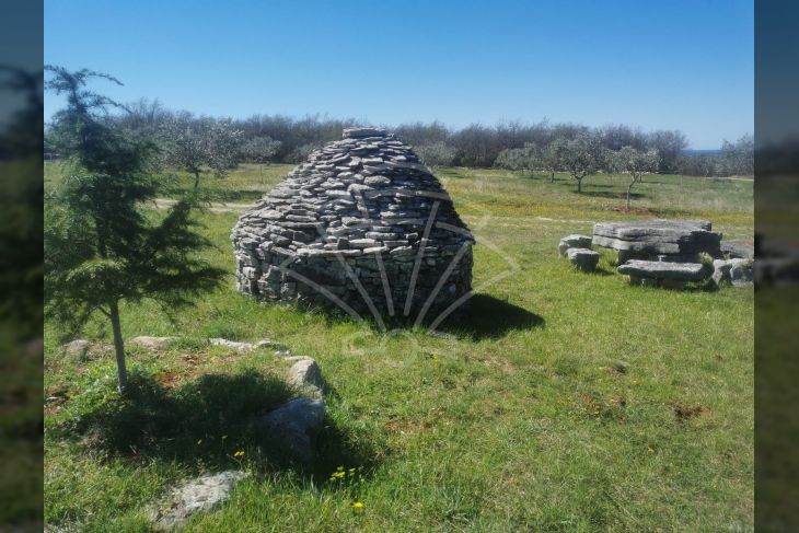 Poljoprivredno zemljište, Prodaja, Vodnjan, Vodnjan Poljoprivredno zemljište, Prodaja, Vodnjan, Vodnjan