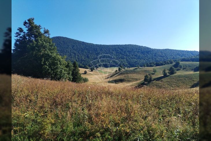 Građevinsko zemljište, Prodaja, Mrkopalj, Begovo Razdolje