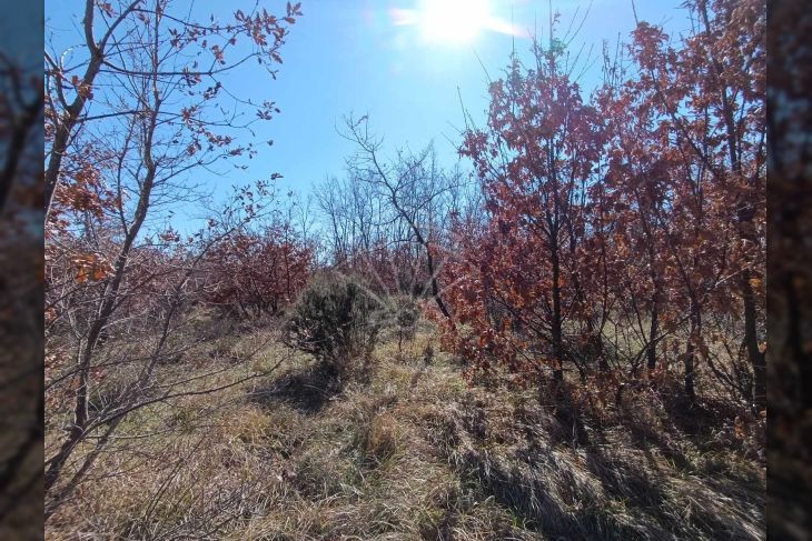 Poljoprivredno zemljište, Prodaja, Vodnjan, Gajana Poljoprivredno zemljište, Prodaja, Vodnjan, Gajana
