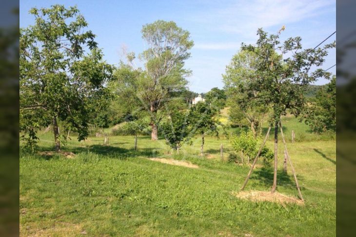 Samostojeća kuća, Prodaja, Cerovlje, Previž Samostojeća kuća, Prodaja, Cerovlje, Previž