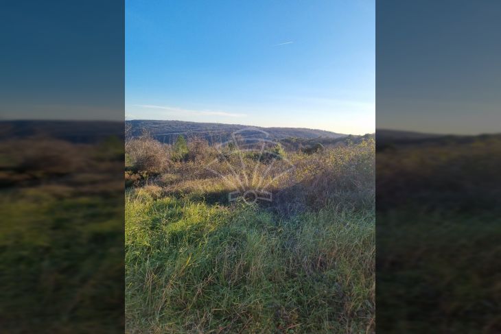 Građevinsko zemljište, Prodaja, Barban, Puntera Građevinsko zemljište, Prodaja, Barban, Puntera