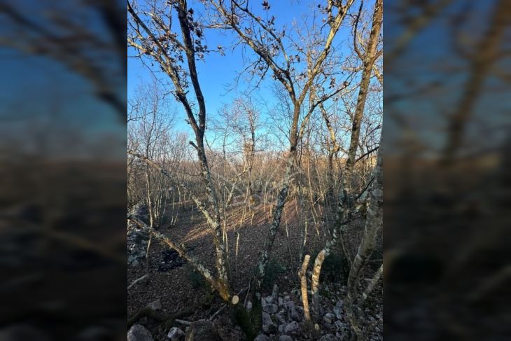 Građevinsko zemljište, Prodaja, Malinska-dubašnica, Kremenići Građevinsko zemljište, Prodaja, Malinska-dubašnica, Kremenići