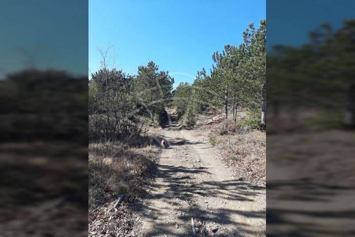 Poljoprivredno zemljište, Prodaja, Lupoglav, Lesišćina Poljoprivredno zemljište, Prodaja, Lupoglav, Lesišćina